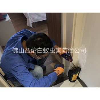 蘆苞住宅白蟻防治工程