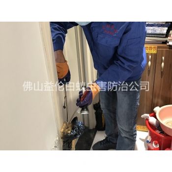 樂(lè )平上門(mén)防治白蟻工程